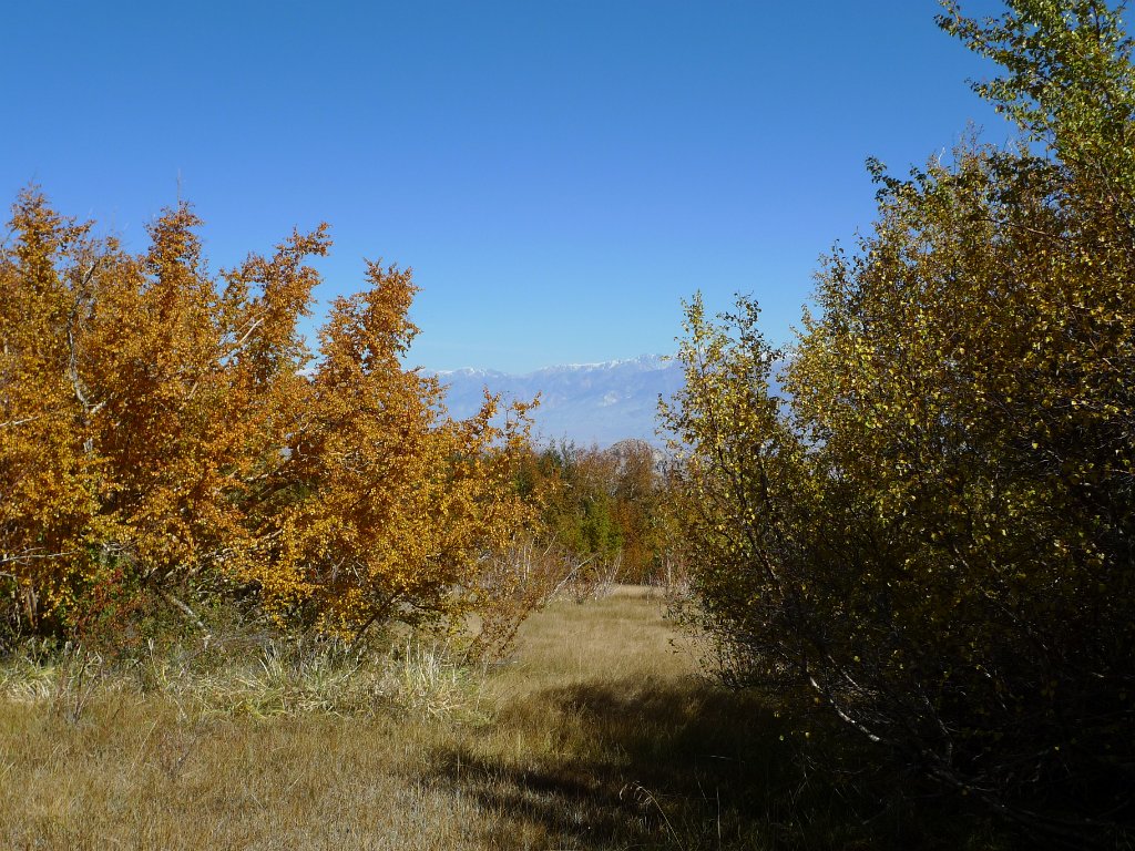California-Fall2010 596.JPG